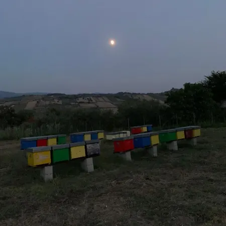 In Campagna A Pochi Minuti Dal Mare Tatil Evi