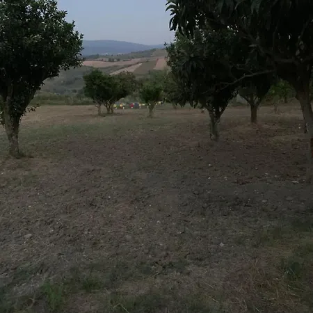 In Campagna A Pochi Minuti Dal Mare Tatil Evi *